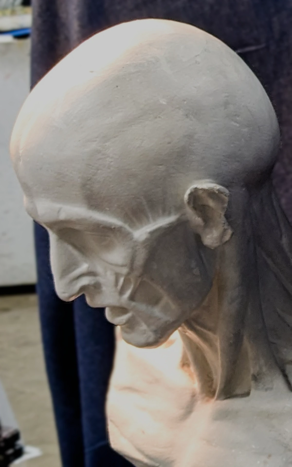 plaster cast bust of a flayed man