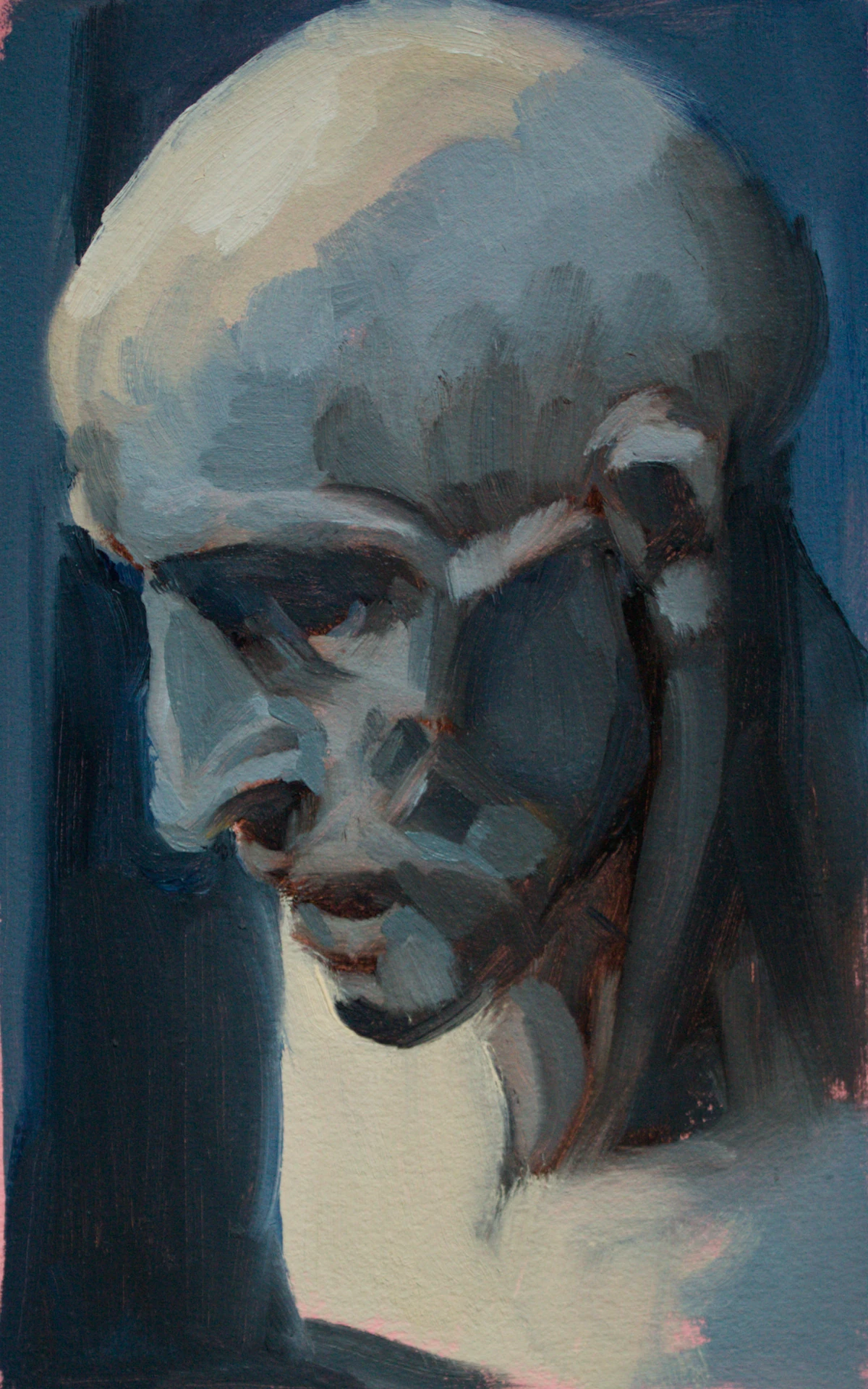 plaster cast bust of a flayed man
